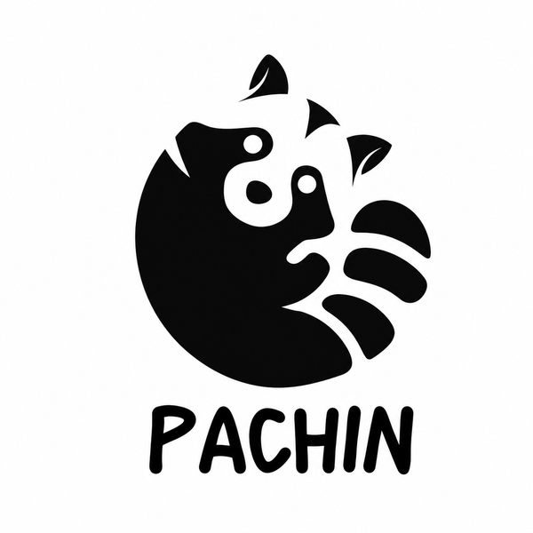 Pachin Shop